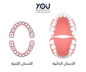 جدول تبديل الاسنان عند الاطفال